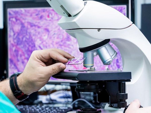 Histopathology